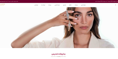 طراحی سایت فروشگاه اینترنتی بدلیجات تندیس